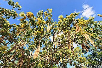 《火影忍者》外传《佐助烈传》动画化决定 1月8日播出
